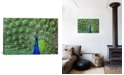 iCanvas Peacock Feathers Gallery-Wrapped Canvas Print - 18" x 26" x 0.75"